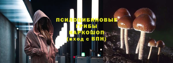 мяу мяу мука Алексеевка