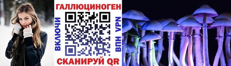 Псилоцибиновые грибы Psilocybine cubensis  купить  цена  Сасово 